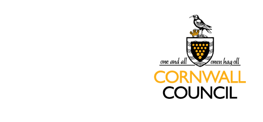 Andrea Retallick, Area Manager, Steps Truro, Cornwall Council.