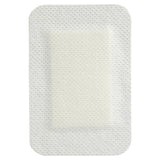 Adhesive Dressing - Steropore