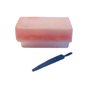 Surgical Scrub Brush - Dry with Nail Cleaner - Each